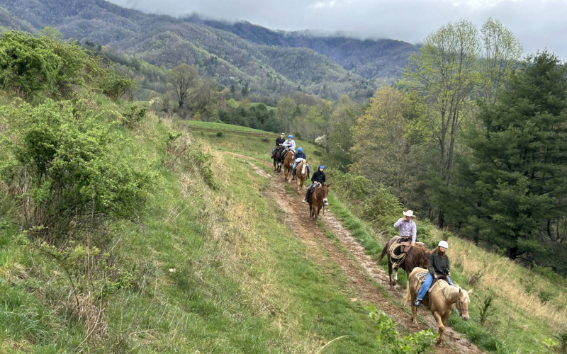 ashville-horseback-riding-03