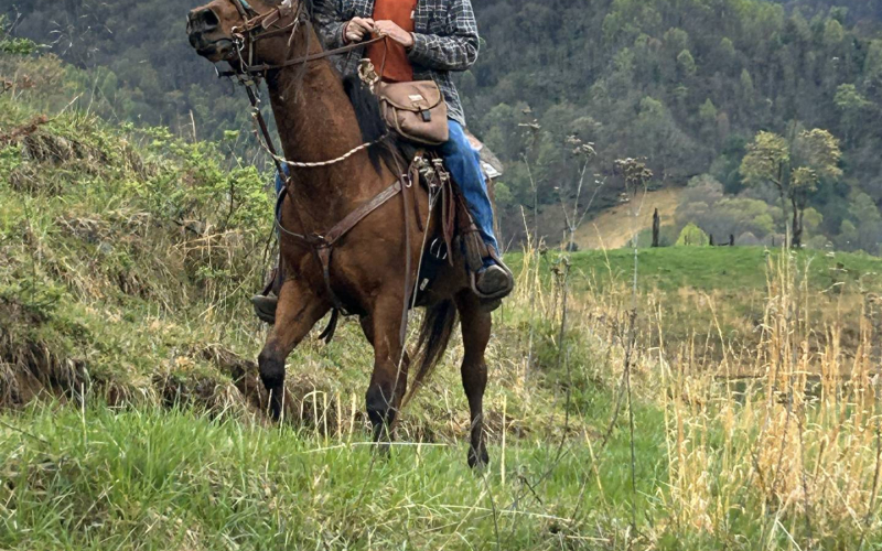 ashville-horseback-riding-04