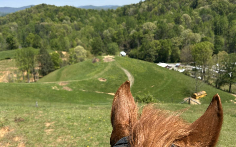 ashville-horseback-riding-14