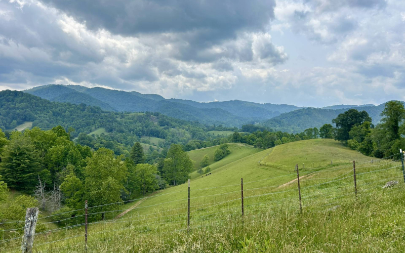 ashville-horseback-riding-15